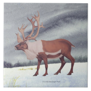 Caribou Snow Square Tile