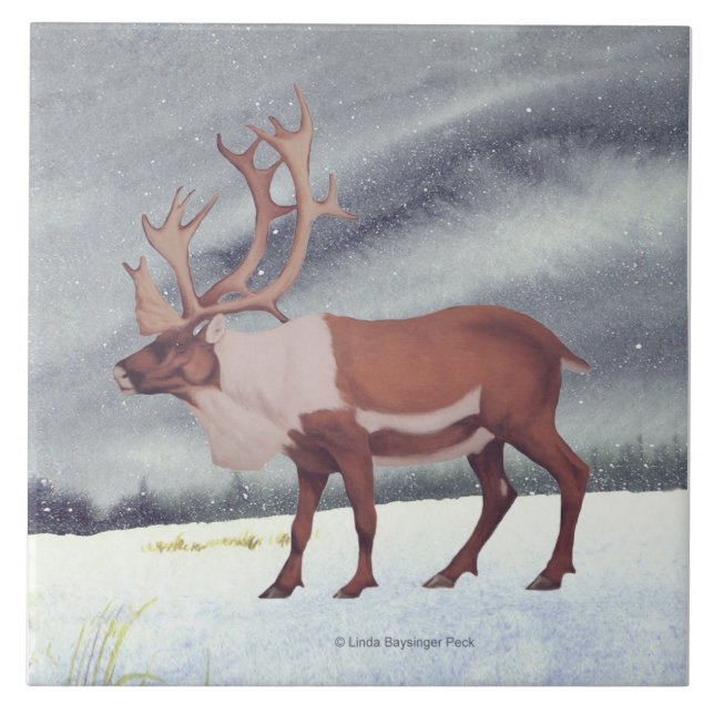Caribou Snow Square Tile (Front)