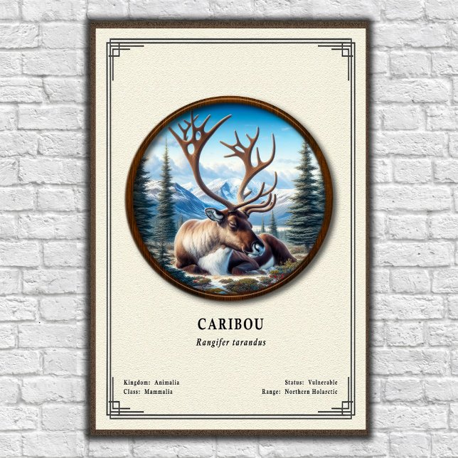 Caribou Zoology Series Poster (Creator Uploaded)