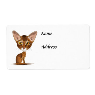 Caricature Abyssinian