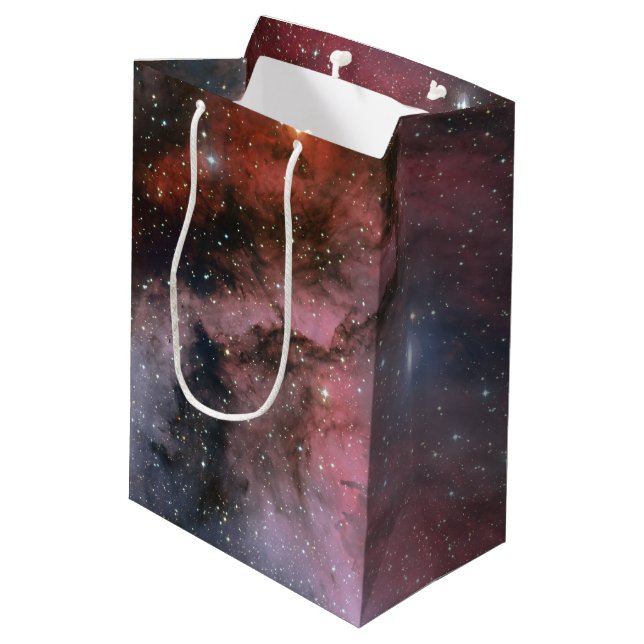 Carina Nebula, Wolf–Rayet star WR 22 Medium Gift Bag (Back Angled)