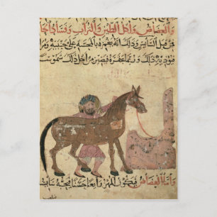 Caring for the horse, illustration postcard
