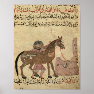 Caring for the horse, illustration poster
