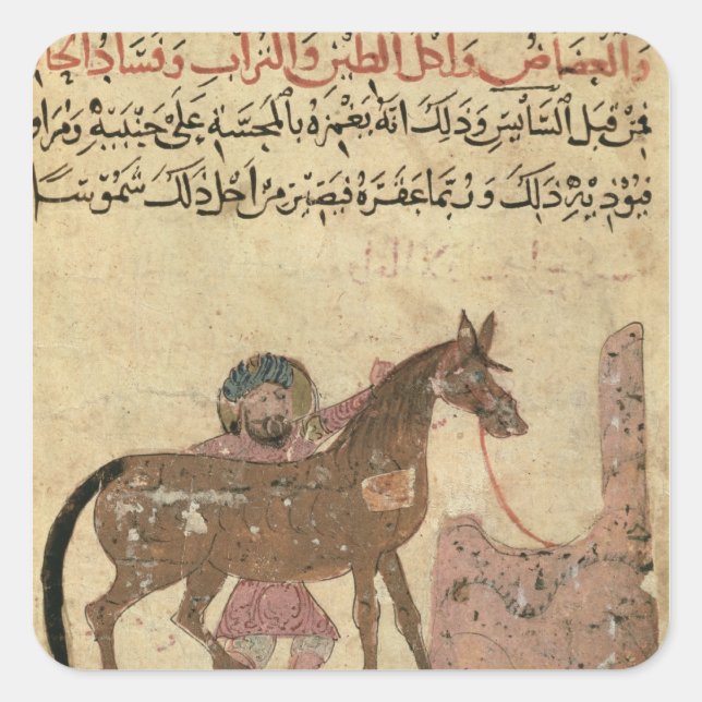 Caring for the horse, illustration square sticker (Front)
