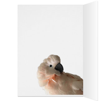 Caring is Sharing card