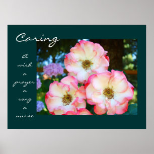 Caring Rose Healing Touch Gifts A Nurse A Prayer Poster