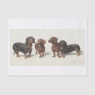 Carl Richert Dachshund Dogs Oil Painting Tissue Paper