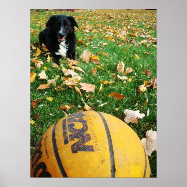 Carlee Poster (Front)