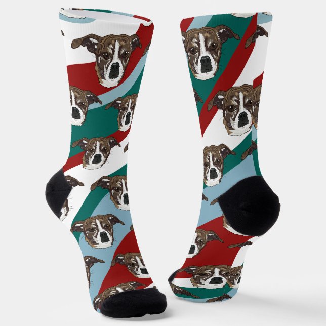 Carleigh Dog Socks (Angled)