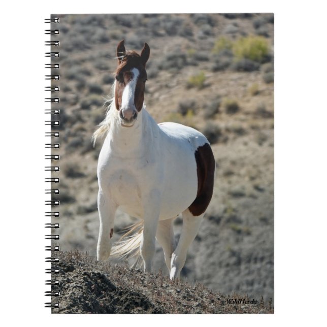 Carlitos of Sand Wash Basin Notebook (Front)