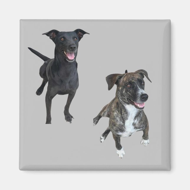 Carlos dogs magnet (Front)