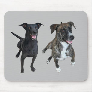 Carlos dogs mouse mat