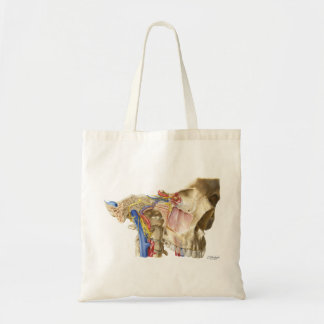 Carlos Machado's Nerves & Vessels of Cranial Base Tote Bag