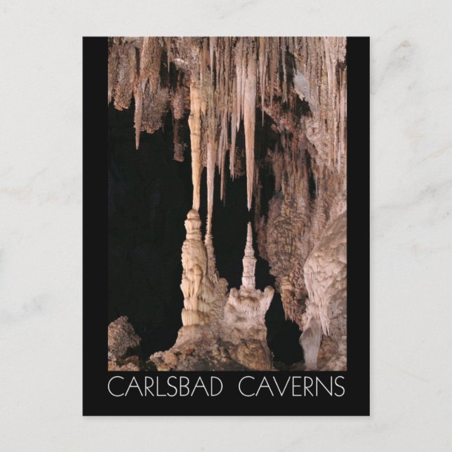 Carlsbad Caverns National Park, New Mexico Postcard (Front)