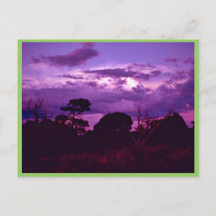 Carlsbad Caverns National Park Postcard