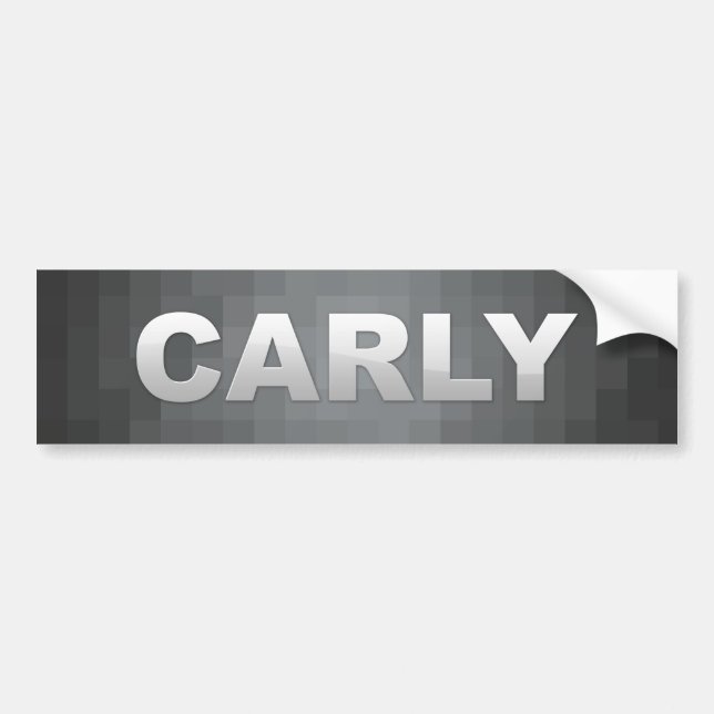 Carly Fiorina 2016 Bumper Sticker (Front)