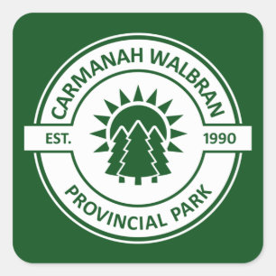 Carmanah Walbran Provincial Sun Trees Square Sticker