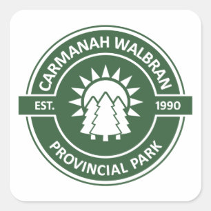 Carmanah Walbran Provincial Sun Trees Square Sticker