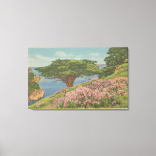 Carmel Bay, CA - View of "Old Veteran" Tree Canvas Print