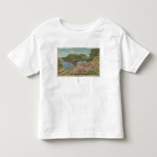 Carmel Bay, CA - View of "Old Veteran" Tree Toddler T-Shirt