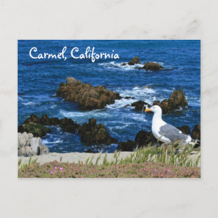 Carmel California Postcard