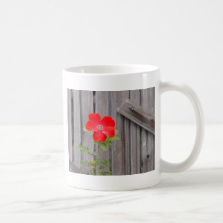 carmel mug