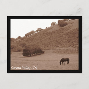 Carmel Valley Postcard