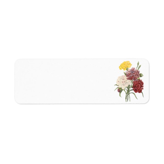 carnation(Dianthus sp.) by Redouté (Front)