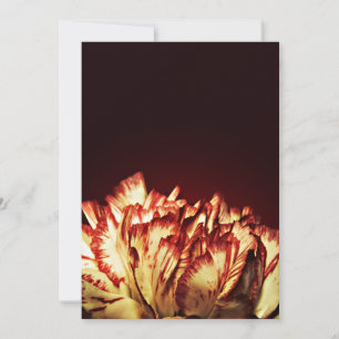 Carnation Fire invitations