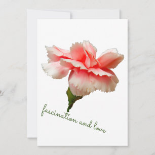 Carnation flower. Fascination and love. Invitation