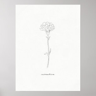 Carnation Flower Print 