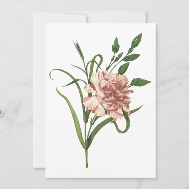 Carnation Invitation (Front)