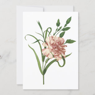 Carnation Invitation