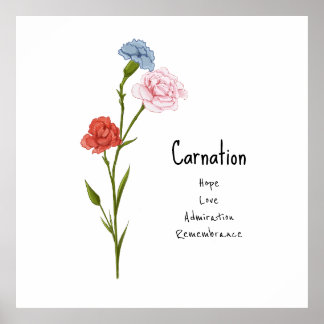 Carnation January Birth Flower Watercolor Art Poster