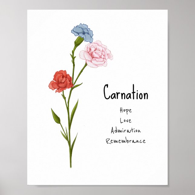 Carnation January Birth Flower Watercolor Art Poster (Front)