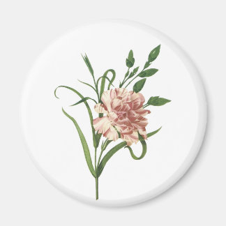 Carnation Magnet