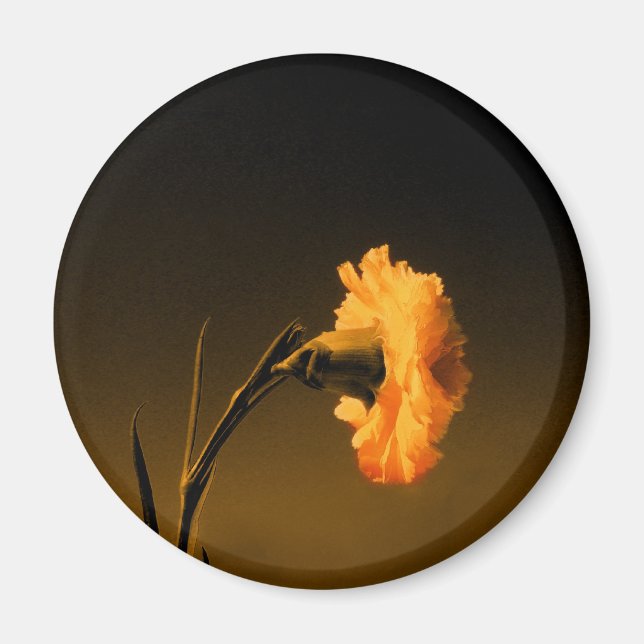 carnation magnet (Front)