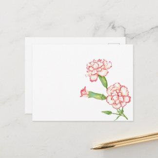 Carnation postcard
