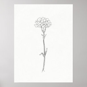 Carnation Sketch Print