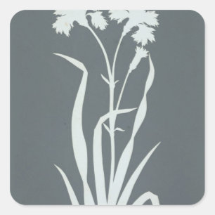 Carnation Square Sticker