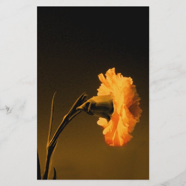 Carnation Stationery (Front)