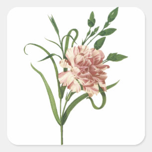 Carnation Sticker