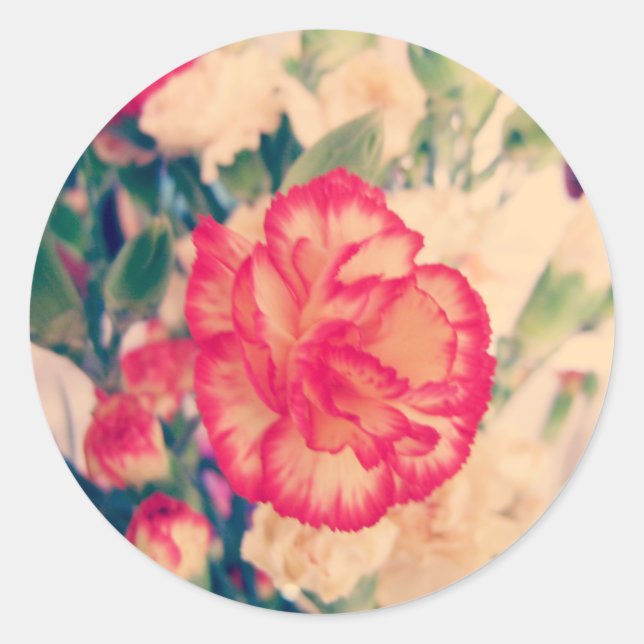 Carnation, sticker (Front)