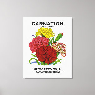 Carnation Vintage Seed Packet Canvas Print