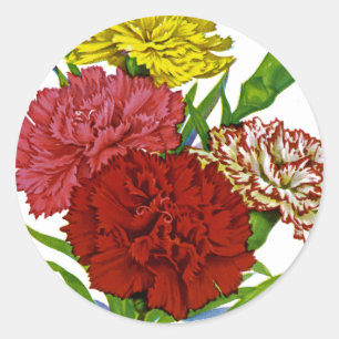 Carnation Vintage Seed Packet Classic Round Sticker