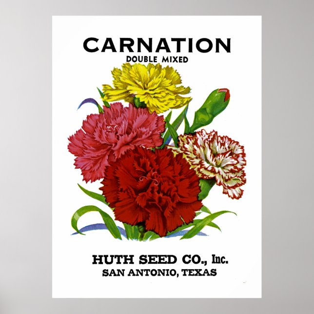 Carnation Vintage Seed Packet Poster (Front)