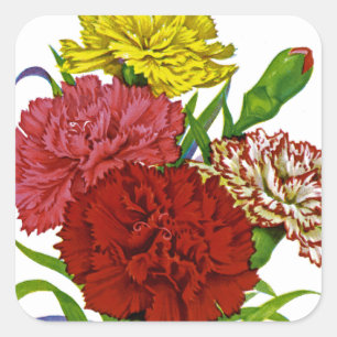 Carnation Vintage Seed Packet Square Sticker