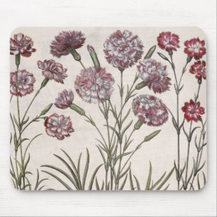 Carnations: 1.Caryophyllus flore majore; 2. Caryop Mouse Mat