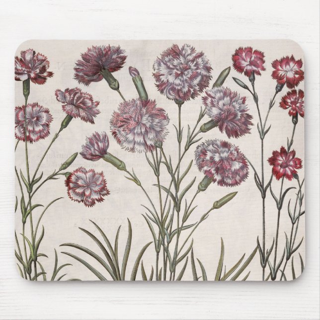 Carnations: 1.Caryophyllus flore majore; 2. Caryop Mouse Mat (Front)