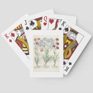 Carnations: 1.Caryophyllus multiplex flore albo; 2 Playing Cards